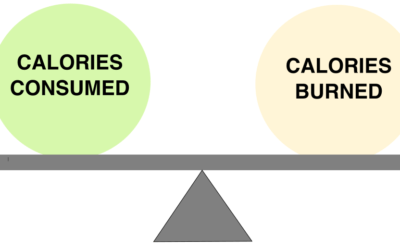 Calories IN vs. Calories OUT
