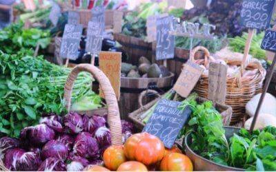 YOUR ESSENTIAL SUPERFOOD GARDEN GUIDE